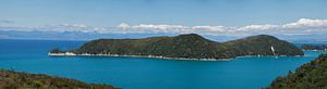 Panorama op Motuareronui / Adele Island van Bart van Wijk Grobben