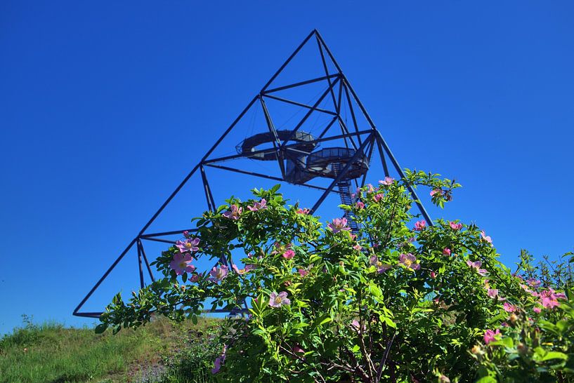 Téléphones de printemps par Edgar Schermaul