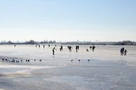 Skaters and coots on the ice by Barbara Brolsma thumbnail