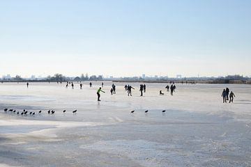Schaatsers en meerkoeten op het ijs van Barbara Brolsma