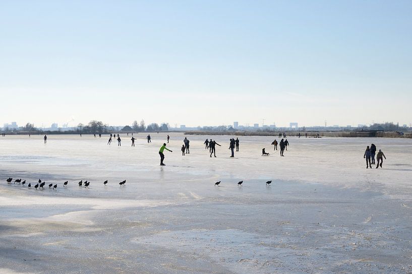 Skaters and coots on the ice by Barbara Brolsma