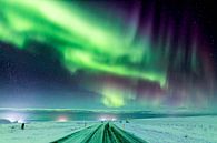 Polarlichter in Nordisland bei Husavik von Sascha Kilmer Miniaturansicht