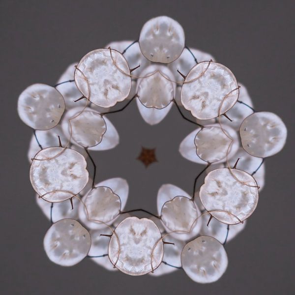 judas medal kaleidoscope by Karin van Bylevelt