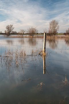 Pole and its reflection by Mark Bolijn
