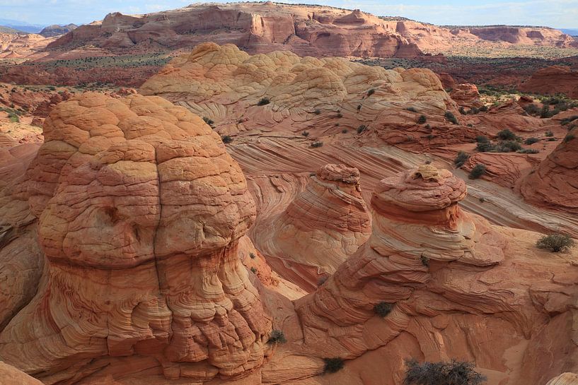 Felsformationen in den North Coyote Buttes, Teil des Vermilion Cliffs National Monument. Dieser Bere von Frank Fichtmüller