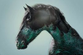 Segelfries von Kim van Beveren