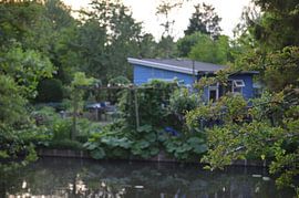 blaues Gartenhaus in den Wäldern am Wasser von falko visser