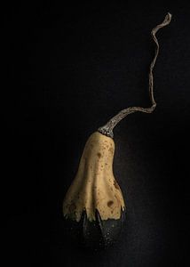 Gourds No 12 Color Version