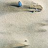 Schelp op het strand sur Sanneke Kortbeek