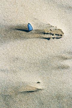 Schelp op het strand by Sanneke Kortbeek