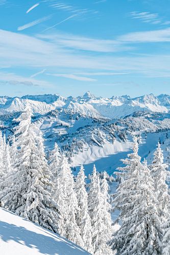 Winteruitzicht op de Hochvogel en de Allgäuer Alpen