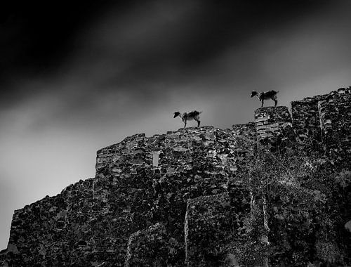 Heersers van de ruïne