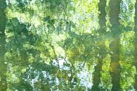 Spiegelingen (groene kleuren van bladeren weerspiegeld op het water) van Birgitte Bergman thumbnail