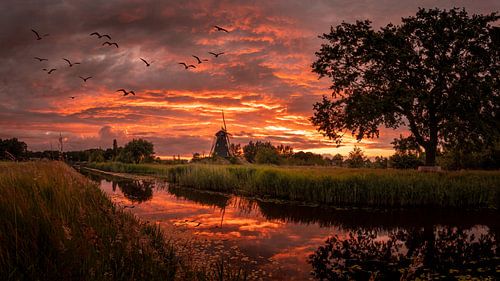 Zonsondergang bij molen de Zwaan in Nederland