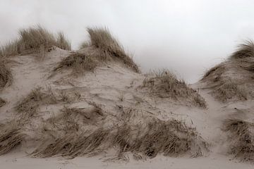 Duinen in Nederland