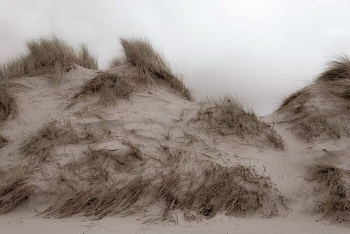 Dunes aux Pays-Bas