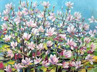 Magnolie