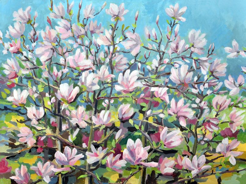 Magnolia par Yvon Schoorl
