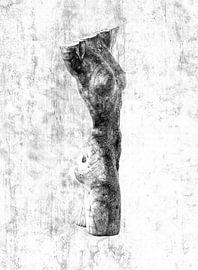 Wet 4 van Hermann Greiling