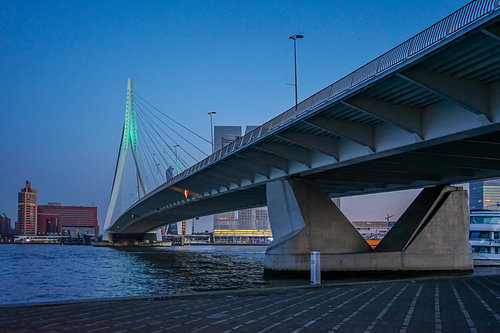 erasmusbrug, rotterdam