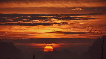 Zonsopkomst in de Oostvaarderplassen van Marcel Versteeg