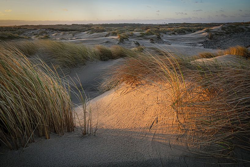 Light and shadow by Dirk van Egmond