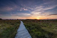 Sunset platform path Hogevenen Ardennes Belgium!