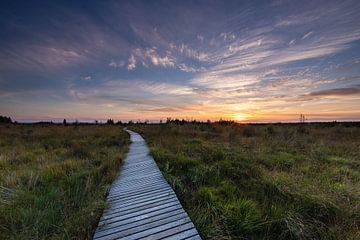 Zonsondergang vlonder pad Hogevenen Ardennen België! van Peter Haastrecht, van