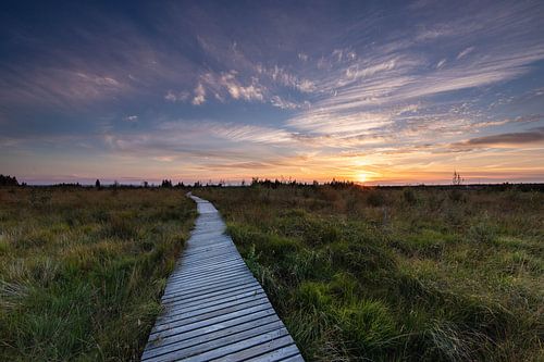 Zonsondergang vlonder pad Hogevenen Ardennen België!