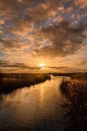 Fields of gold - Gouden zonsondergang (verticaal) van Ilona van Dijk