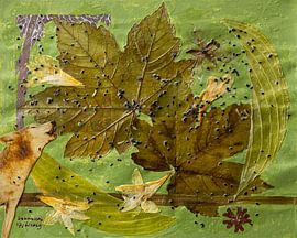 Natuurkracht van Susan Hol