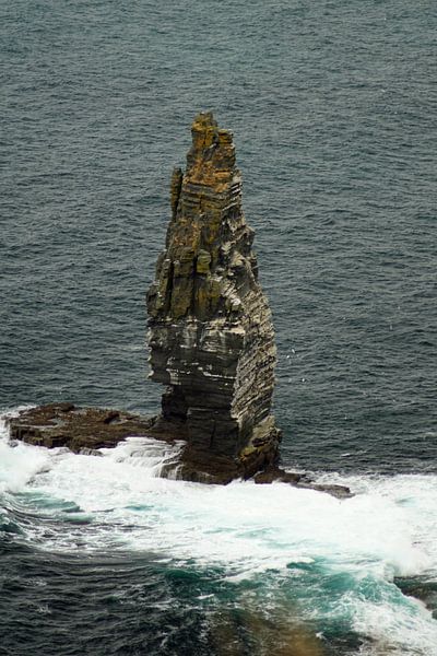 Cliff's of Moher - Irland von Babetts Bildergalerie