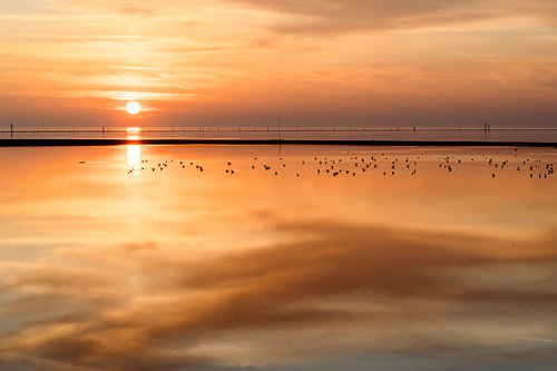Sonnenuntergang an der Nordseeküste von Catrin Grabowski