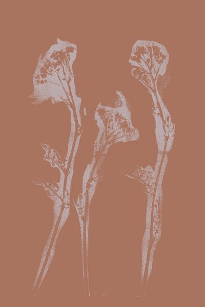 Pastel Botanicals. Plant in brown and pink no. 4 by Dina Dankers
