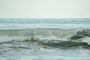Mer | beaux-arts | tirage photo