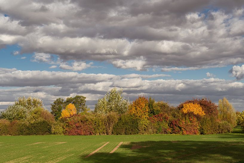 Paysage d'automne par AK - Night and Day Photography