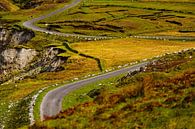 Ierland - Mayo - Achill Island - kronkelende weg van Meleah Fotografie thumbnail