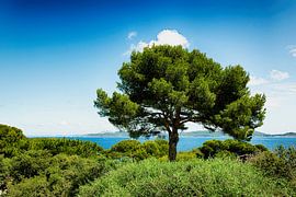 Côte d'Azur by Ken Kühlbrandt