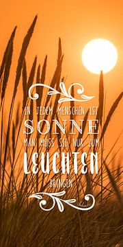 Worte der Weisheit: In jedem Menschen ist Sonne ... Sokrates von Christian Müringer