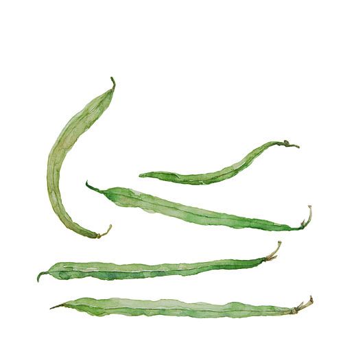 Green Beans, watercolorpainting