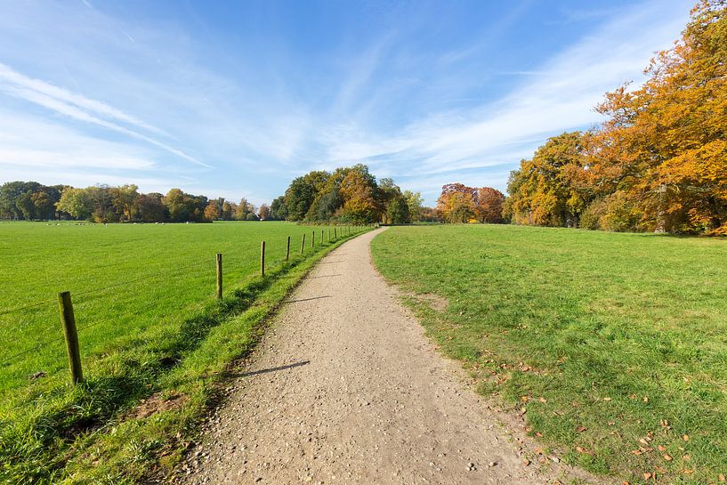 Footpath between green meadows with blue sky in autumn season by Ben Schonewille