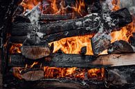 Fire by Auke Hamers thumbnail