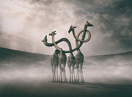 Surrealistische giraffenhalzen van Hussain Buhligaha