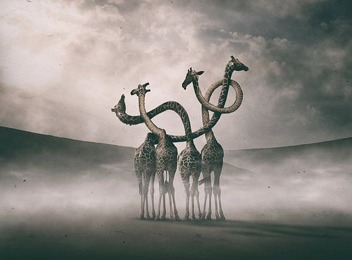 Surreal Giraffe Necks