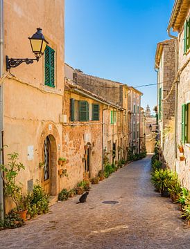 Valldemossa op het eiland Mallorca, Spanje van Alex Winter