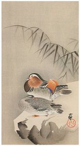 Ohara Koson - Mandarin-Enten im Schnee (bearbeitet)