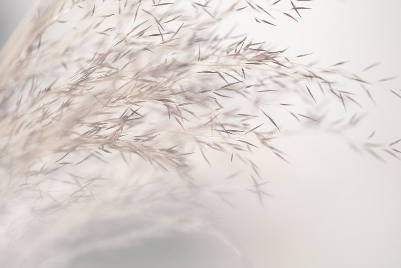 Serene Nature-Inspired Composition by Monika Strigel