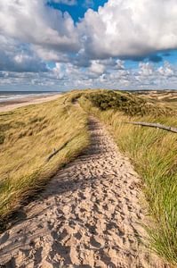 Chemin sablonneux à travers la dune de mer