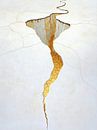 Golden path of enlightenment by Fabel Schikorenko thumbnail