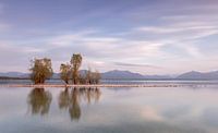 Chiemsee in the late afternoon